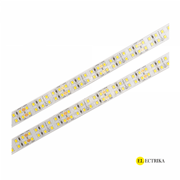 Electrica 24V led ժապավեն 19.2W 4000K 15մմ (2835SMD 240led/մ)