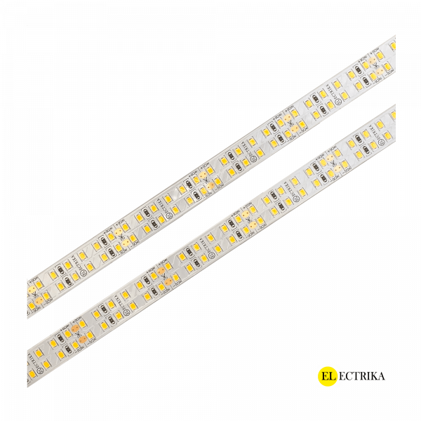 Electrica 24V led ժապավեն 19.2W 3000K 15մմ (2835SMD 240led/մ)