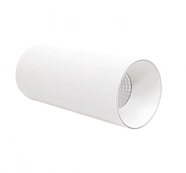 Electrica Surface-mounted light (ZH) 15W 4100K white