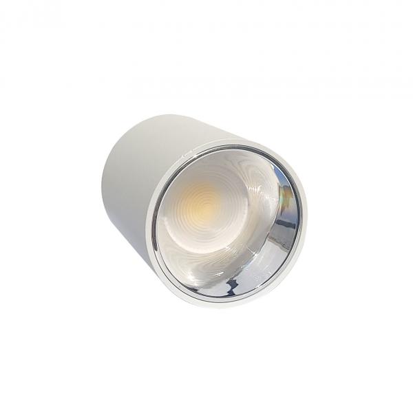 Electrica Surface-mounted light (F10) 10W 4100K white-chrome