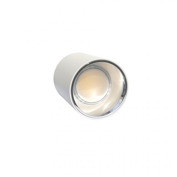 Electrica Surface-mounted light (F15) 15W 4100K white-chrome