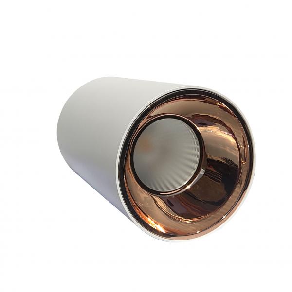 Electrica Surface-mounted light (T15) 15W 4100K white-gold