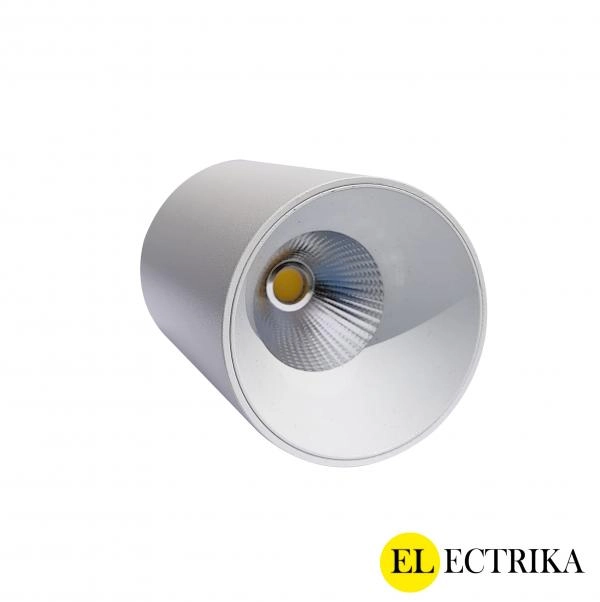 Electrica լուսատու արտաքին (ZH) 10W 4100K սպիտակ