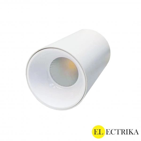 Electrica լուսատու արտաքին (T15) 15W 4000K սպիտակ-սպիտակ 1/25