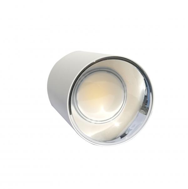 Electrica Surface-mounted light (F20) 20W 4100K white-chrome