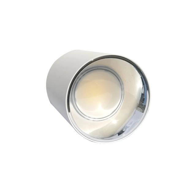 Electrica լուսատու արտաքին (F20) 20W 4100K սպիտակ-խրոմ 1/30