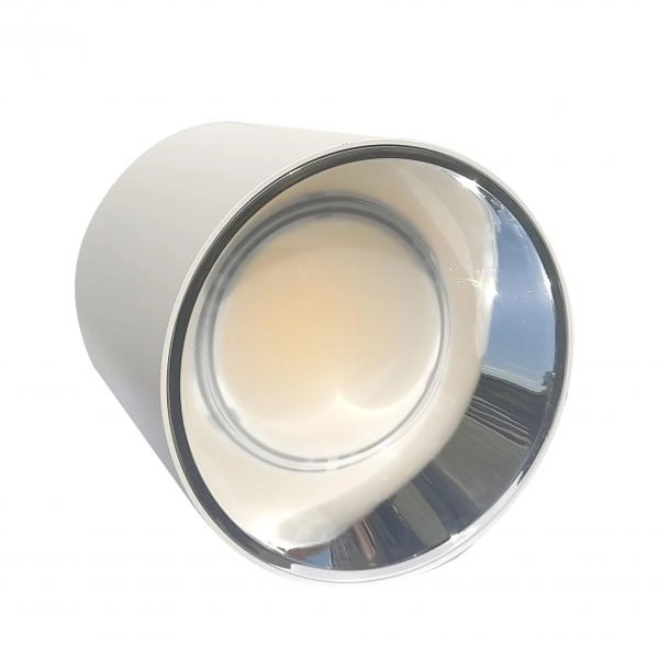 Electrica լուսատու արտաքին (F30) 30W 4100K սպիտակ-խրոմ 1/20