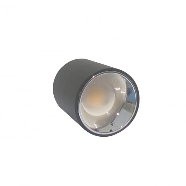 Electrica լուսատու արտաքին (F10) 10W 4100K սև-խրոմ 1/60