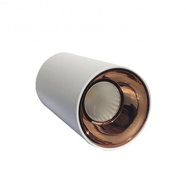 Electrica Surface-mounted light (T10) 10W 4100K white-gold