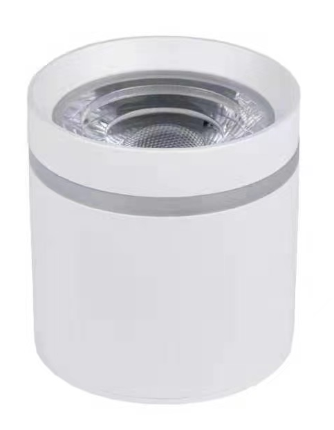 Electrica լուսատու արտաքին (H-L15) 15W 4000K սպիտակ