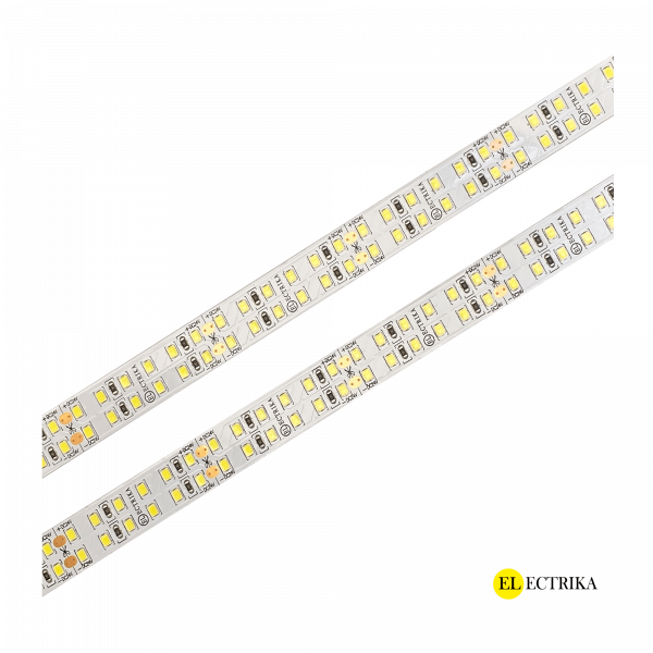 Electrica 24V led ժապավեն 19.2W 6500K 15մմ (2835SMD 240led/մ)