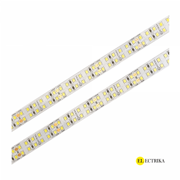 Electrica 24V led ժապավեն 19.2W 6500K 15մմ (2835SMD 240led/մ)