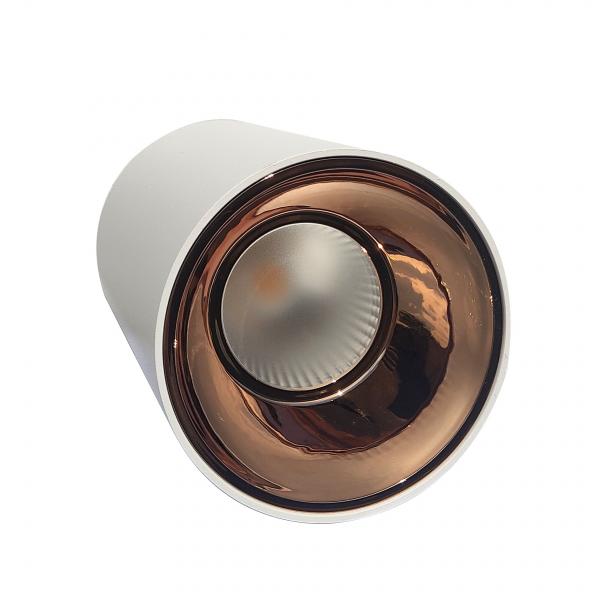 Electrica Surface-mounted light (T30) 30W 4100K white-gold