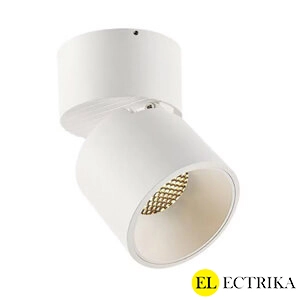 Electrica լուսատու արտաքին շարժական (R-L12) 12W 4100K սպիտակ