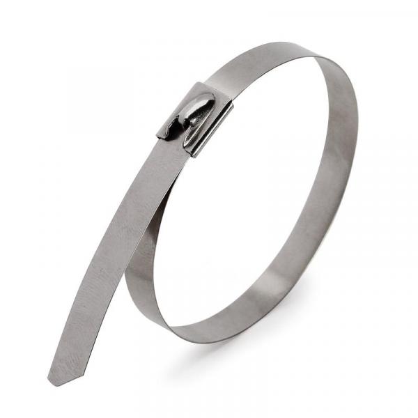 KBT Stainless Steel Clamp SCS (304) 4.6x300