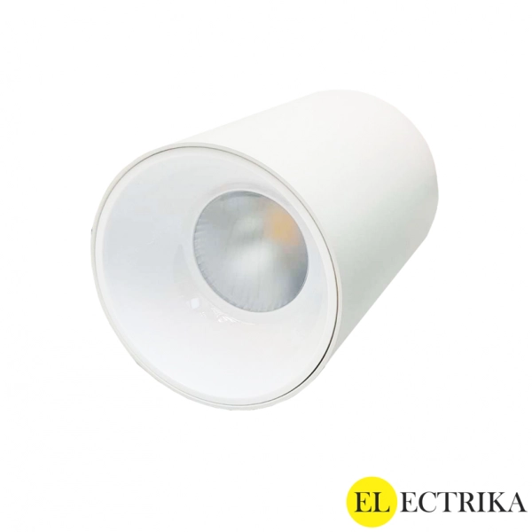 Electrica լուսատու արտաքին (T30) 30W 4000K սպիտակ-սպիտակ 1/25