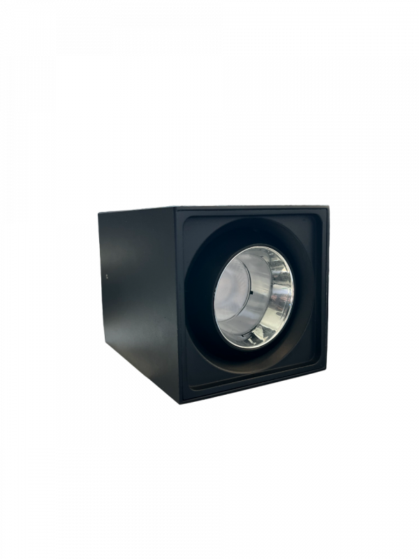 Electrica լուսատու արտաքին շարժական (S-K12B) 12W 4000K սև